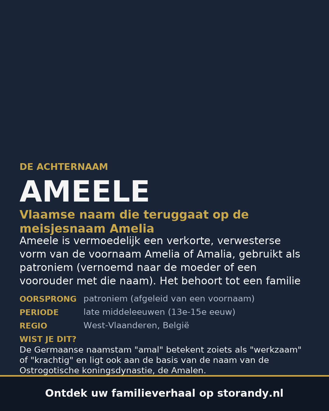Familiewapen van de achternaam AMEELE