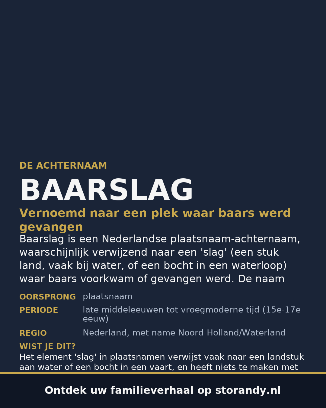 Familiewapen van de achternaam BAARSLAG