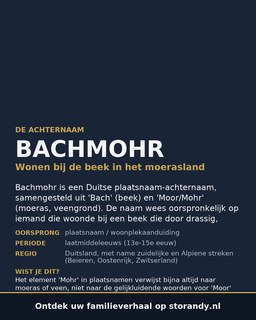 Familiewapen van de achternaam BACHMOHR