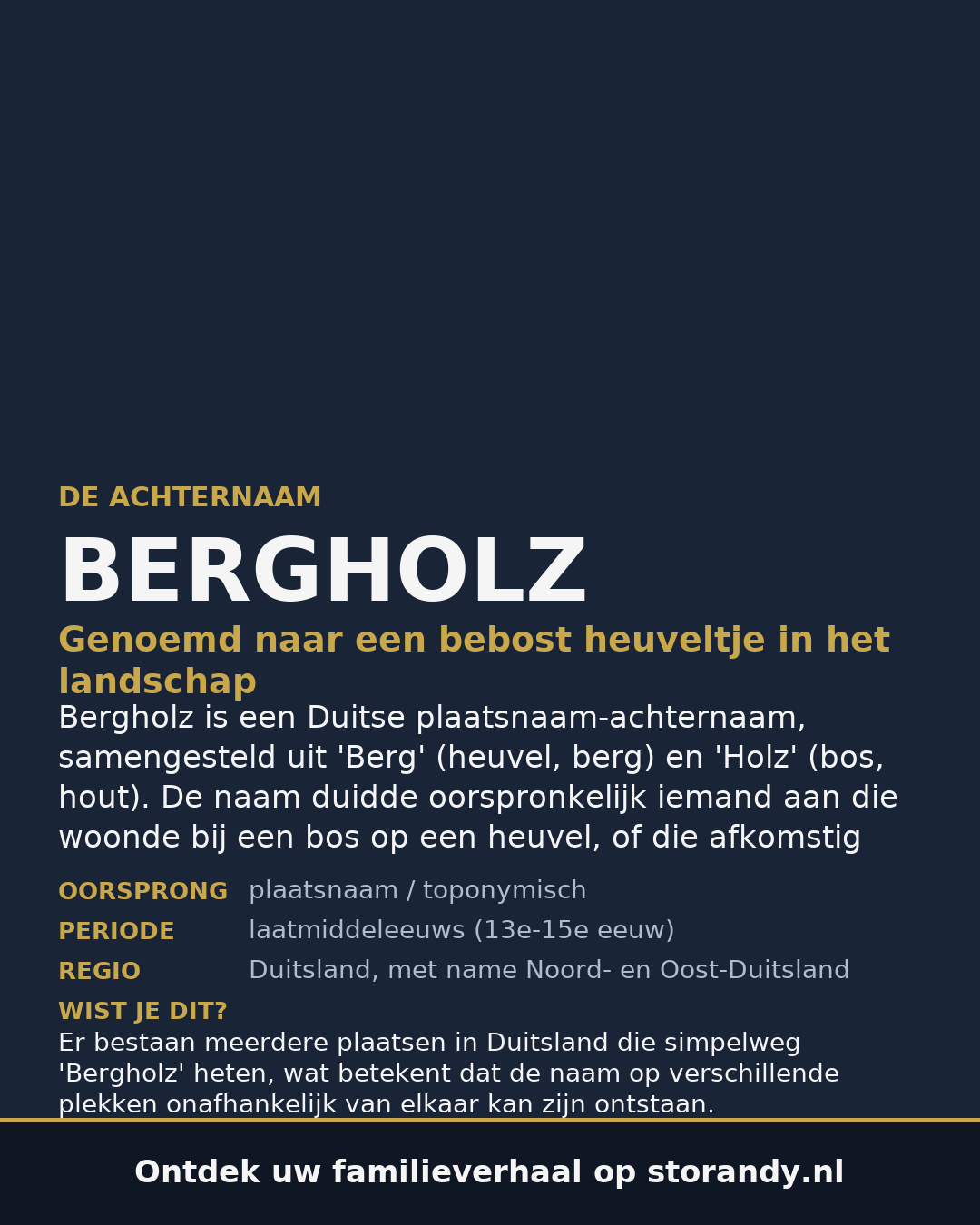 Familiewapen van de achternaam BERGHOLZ (vergrendeld)