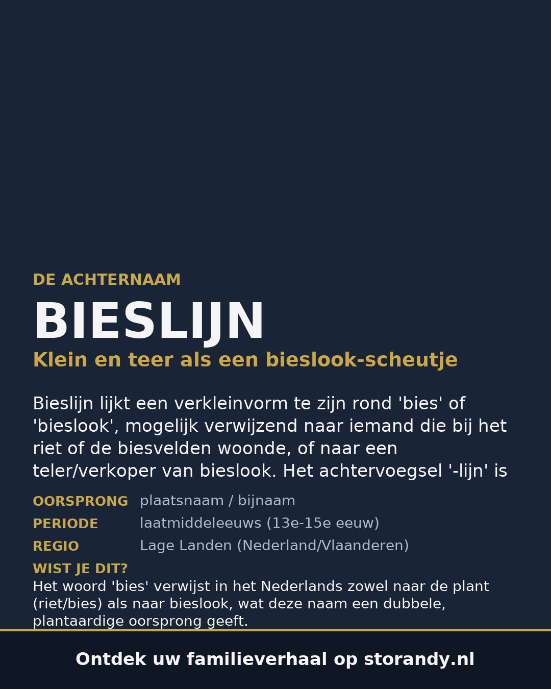 Familiewapen van de achternaam BIESLIJN