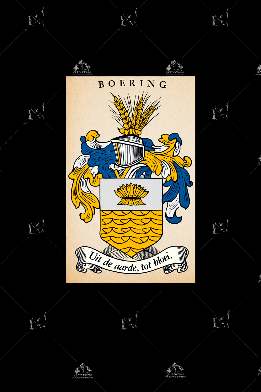Familiewapen van de achternaam BOERING