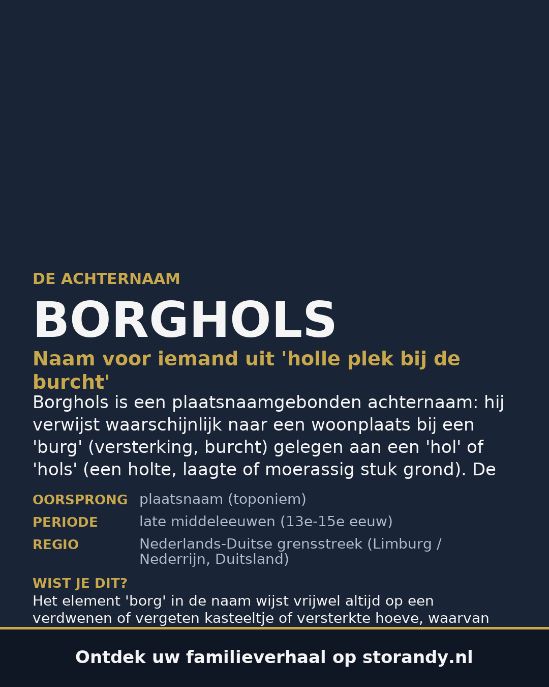Familiewapen van de achternaam BORGHOLS