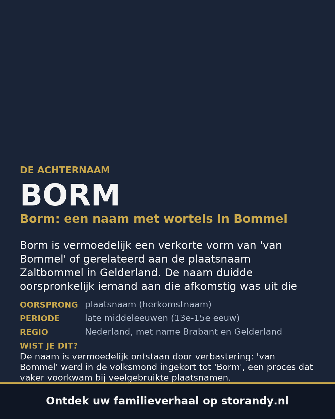 Familiewapen van de achternaam BORM