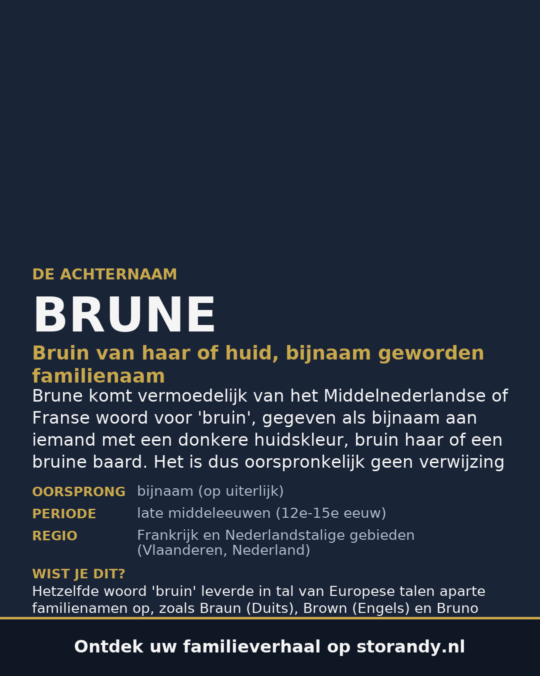 Familiewapen van de achternaam BRUNE