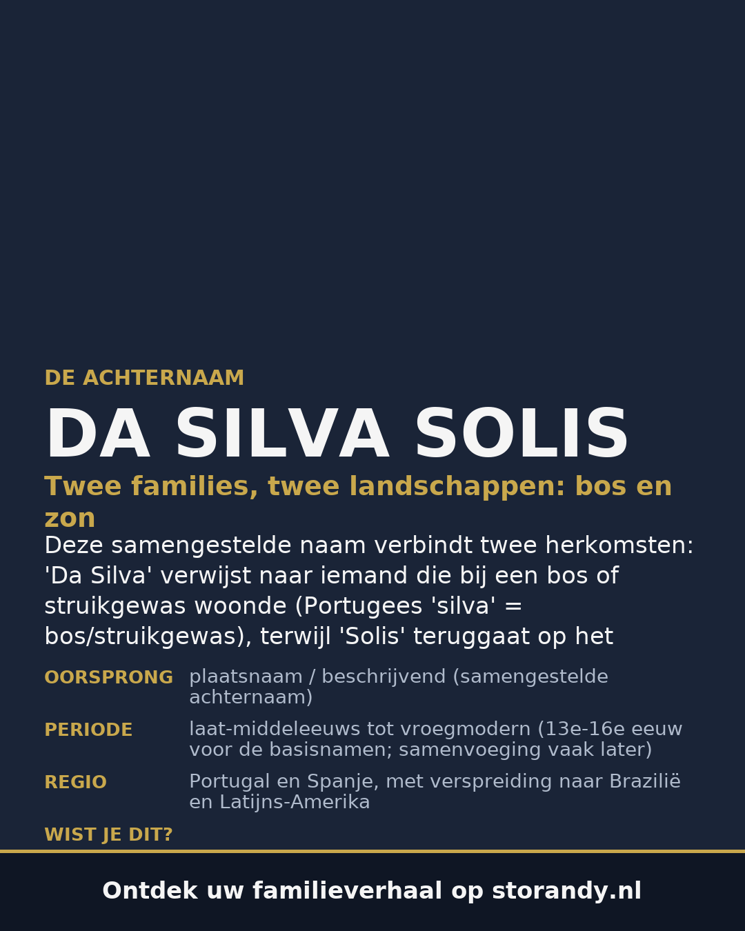 Familiewapen van de achternaam DA SILVA SOLIS