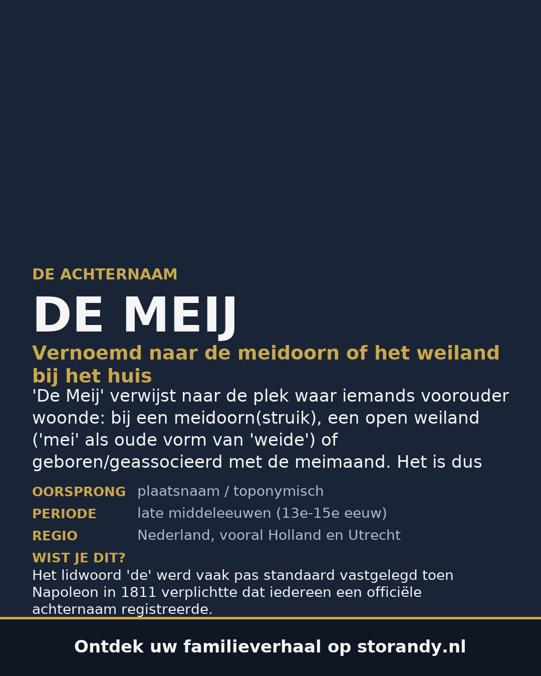 Familiewapen van de achternaam DE MEIJ