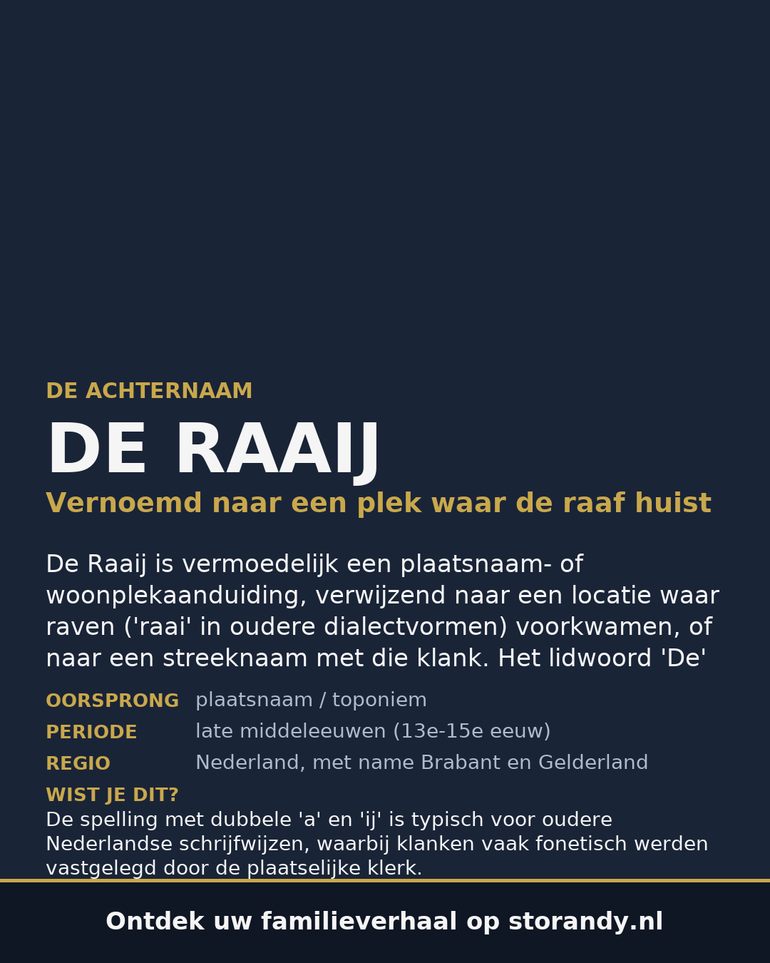 Familiewapen van de achternaam DE RAAIJ