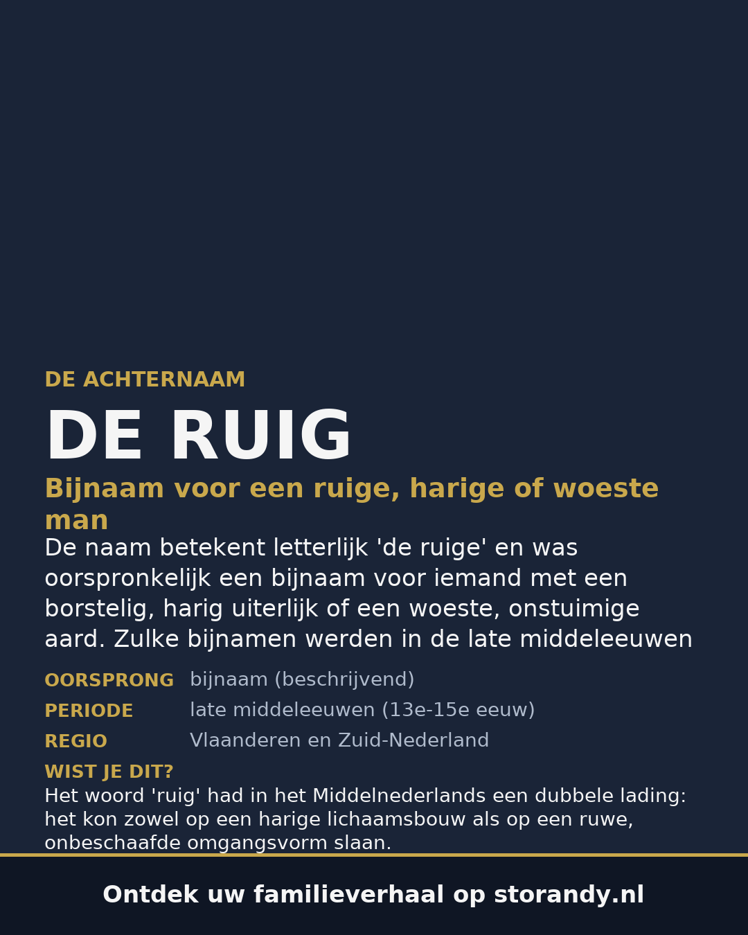 Familiewapen van de achternaam DE RUIG