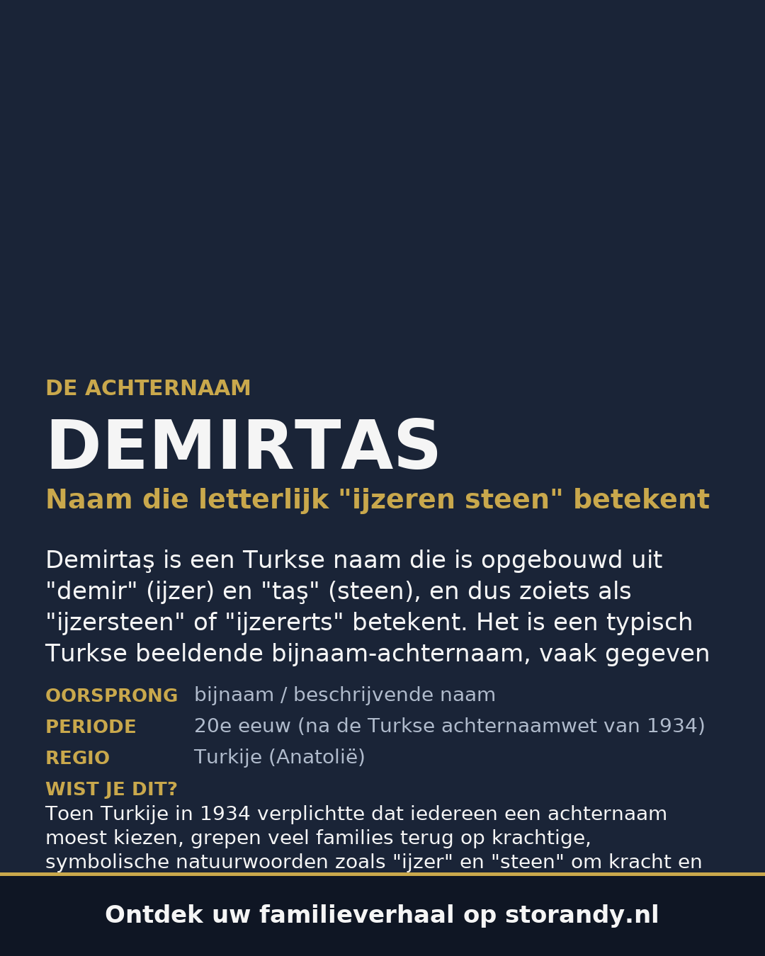 Familiewapen van de achternaam DEMIRTAS