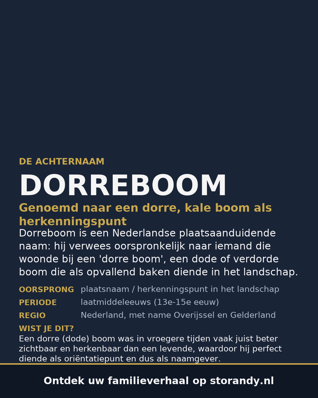 Familiewapen van de achternaam DORREBOOM