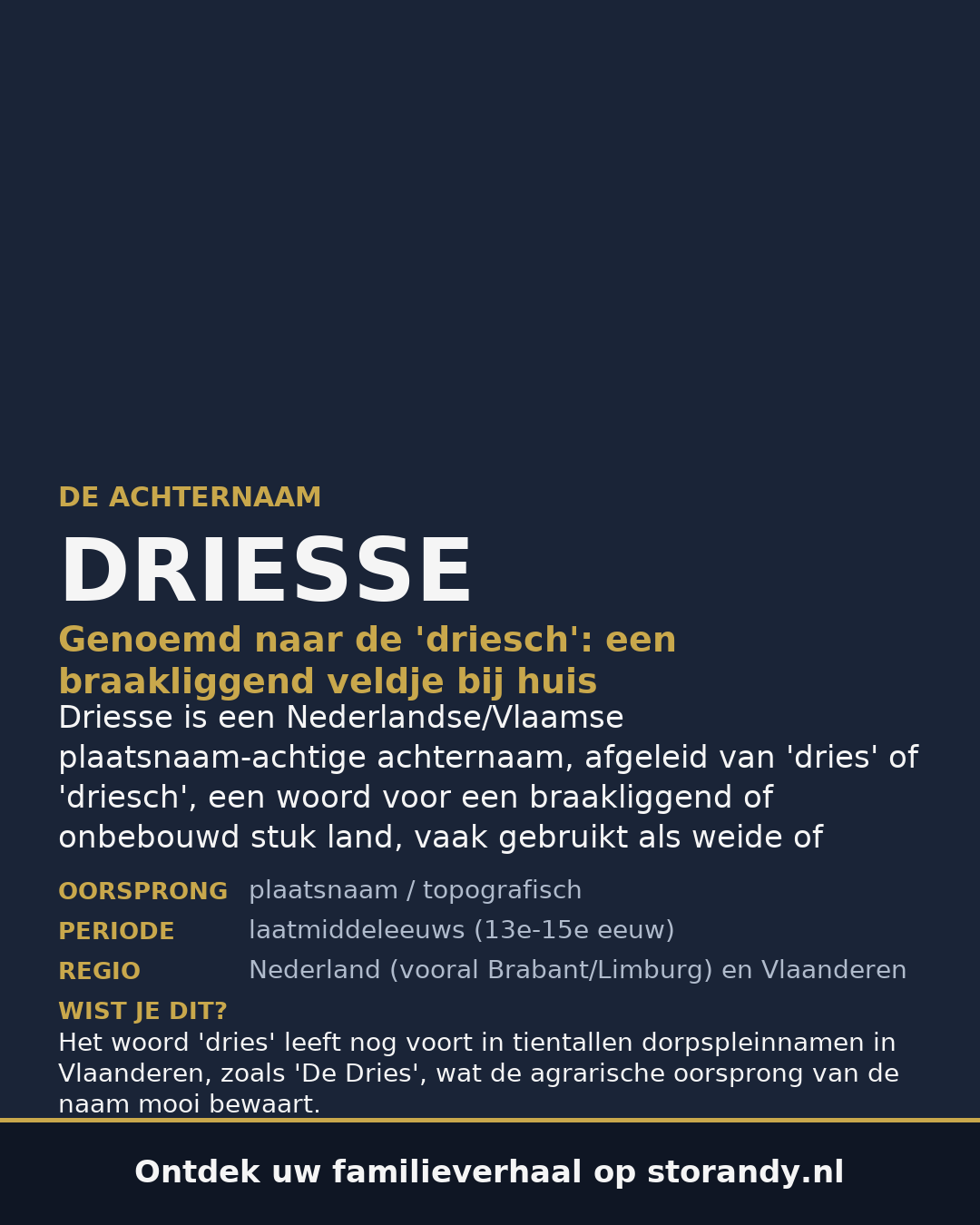 Familiewapen van de achternaam DRIESSE