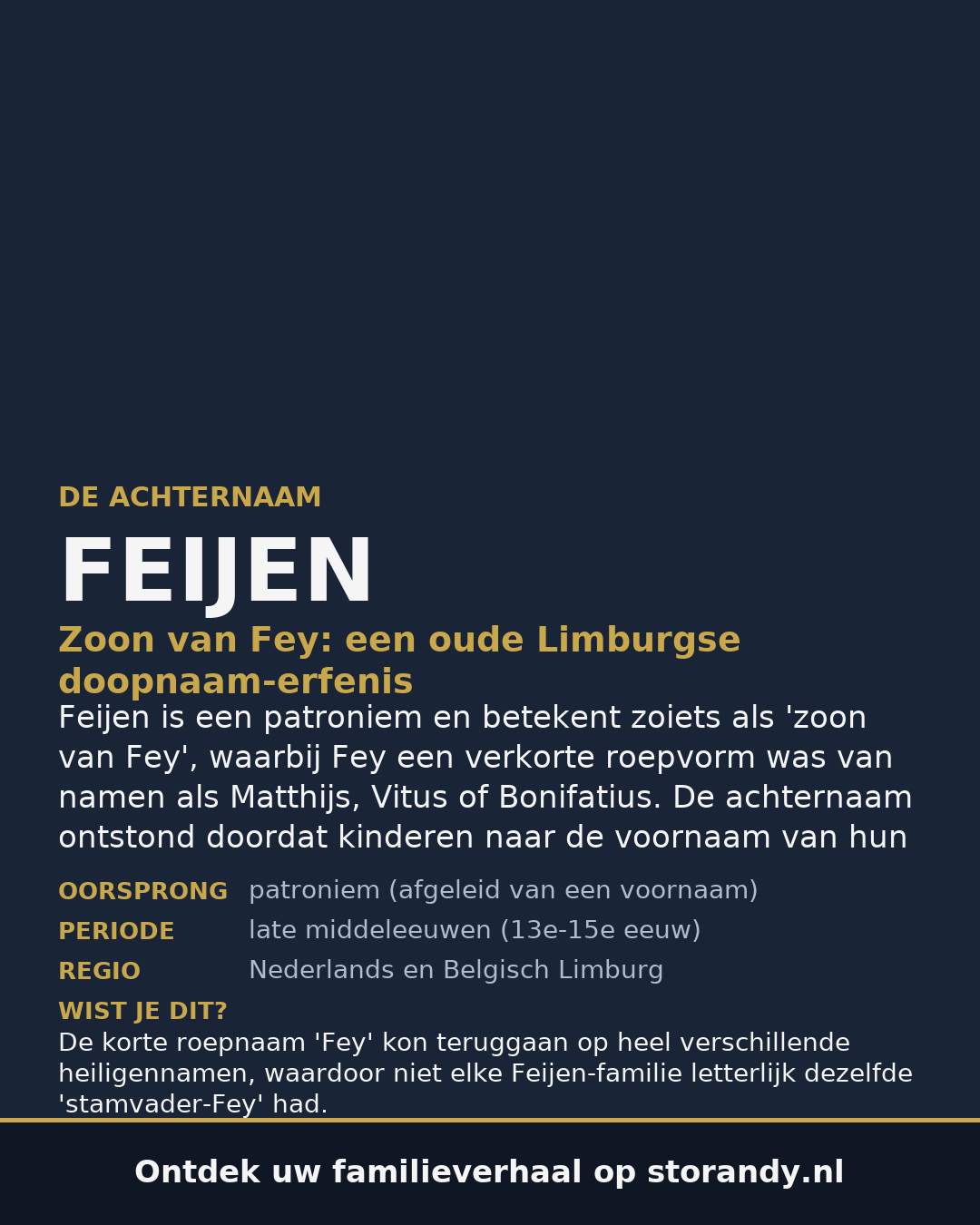 Familiewapen van de achternaam FEIJEN