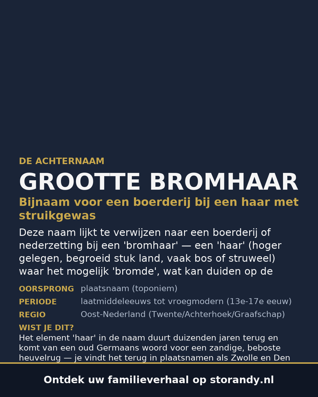 Familiewapen van de achternaam GROOTTE BROMHAAR