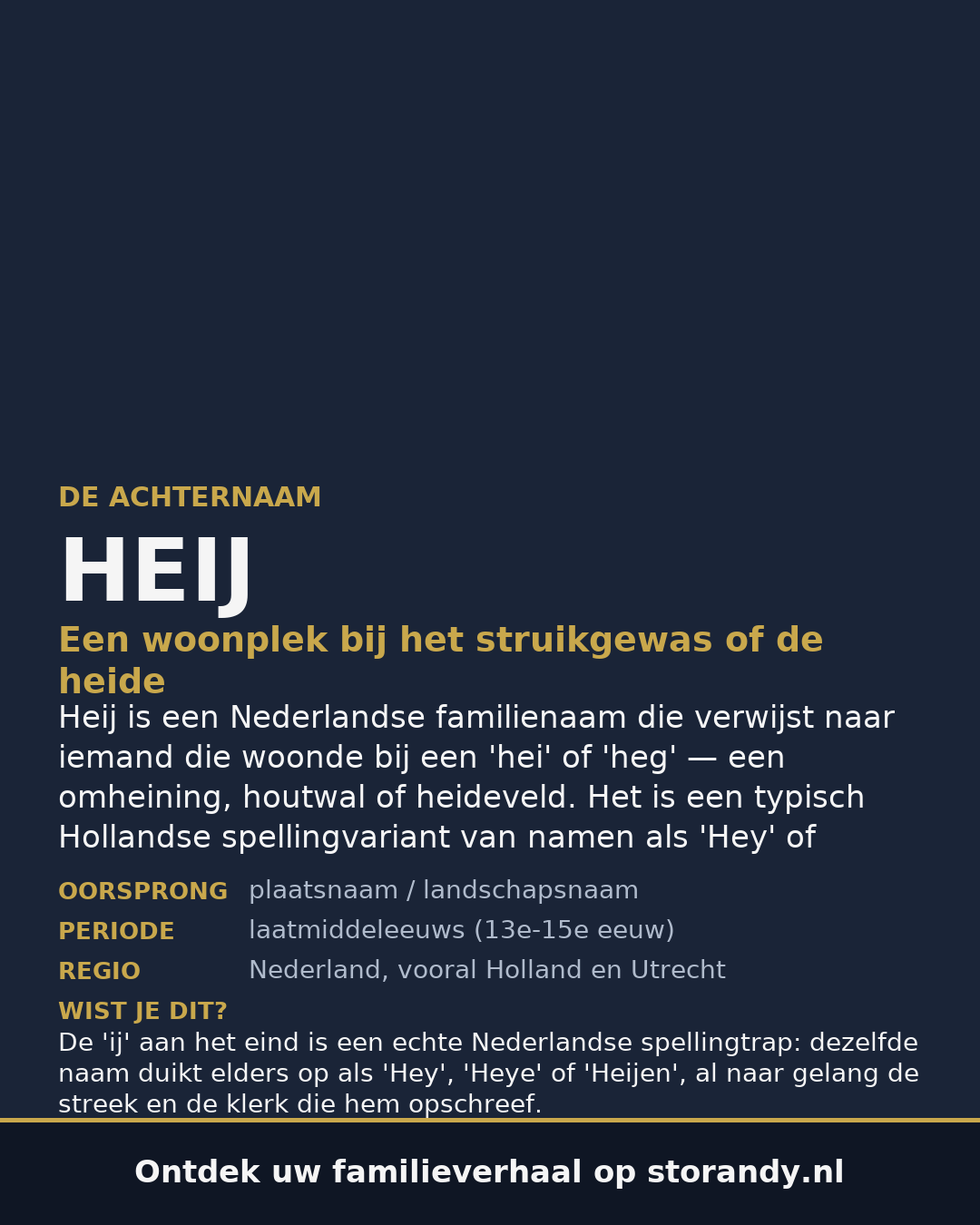 Familiewapen van de achternaam HEIJ