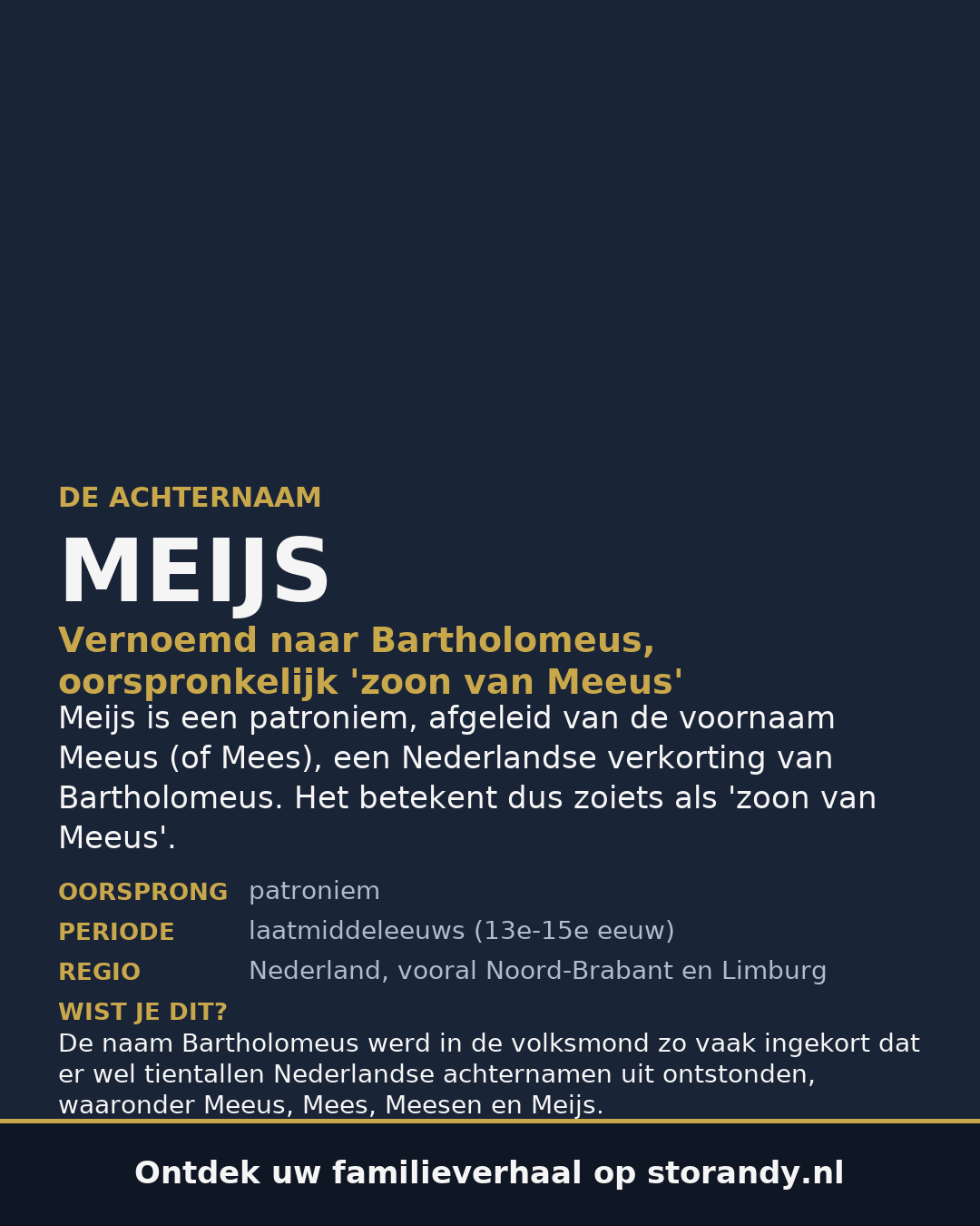 Familiewapen van de achternaam MEIJS