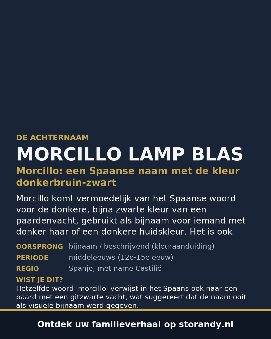 Familiewapen van de achternaam MORCILLO LAMP BLAS