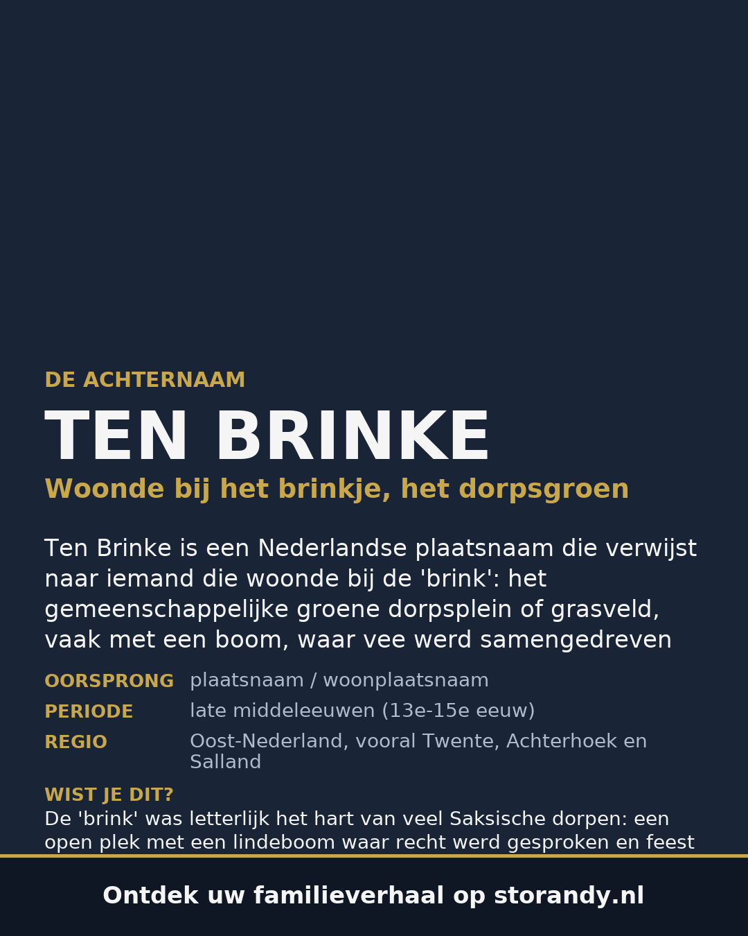 Familiewapen van de achternaam TEN BRINKE