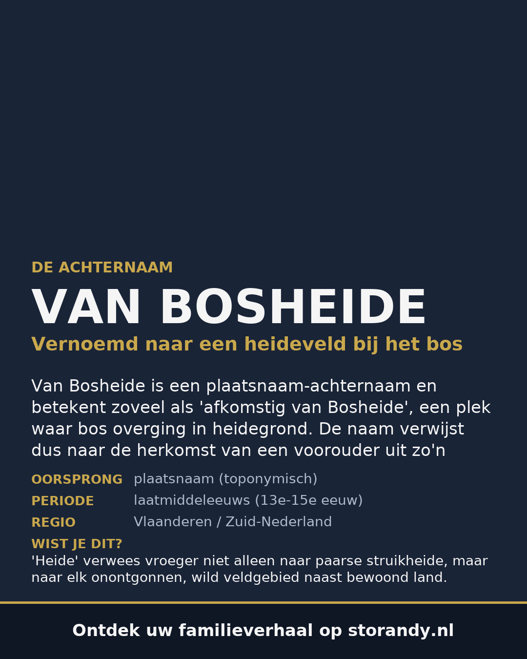 Familiewapen van de achternaam VAN BOSHEIDE