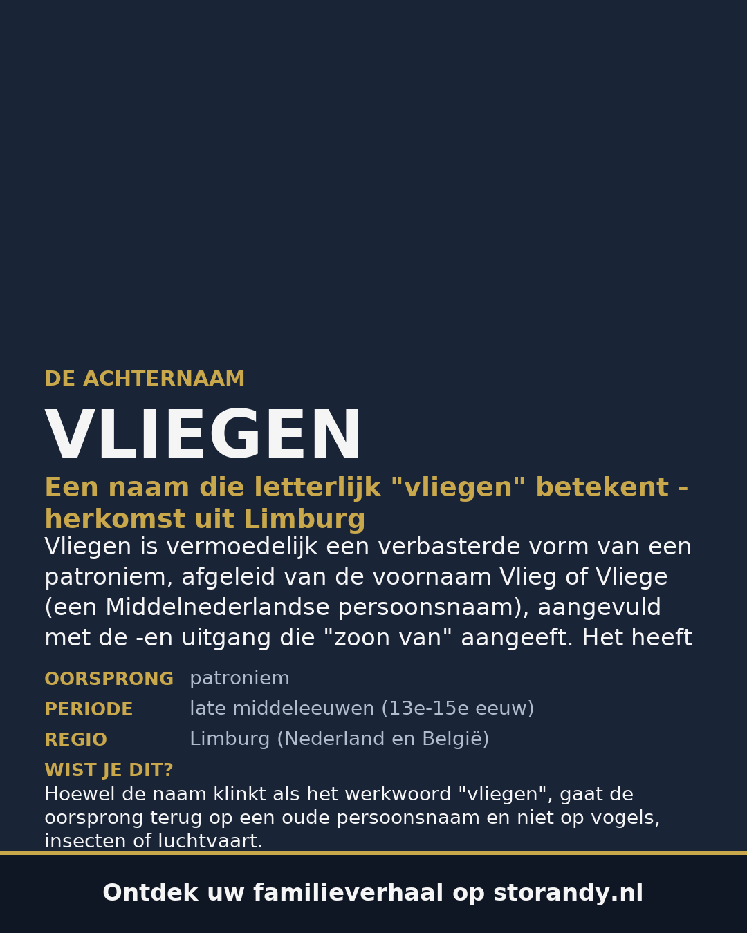 Familiewapen van de achternaam VLIEGEN