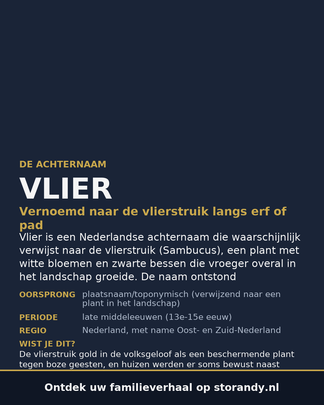 Familiewapen van de achternaam VLIER